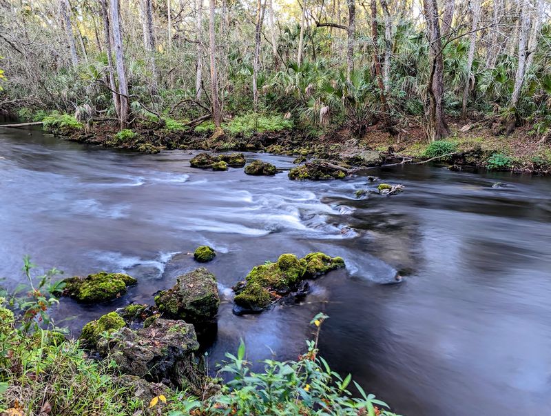 River Rapids at Hillsborough River State Park