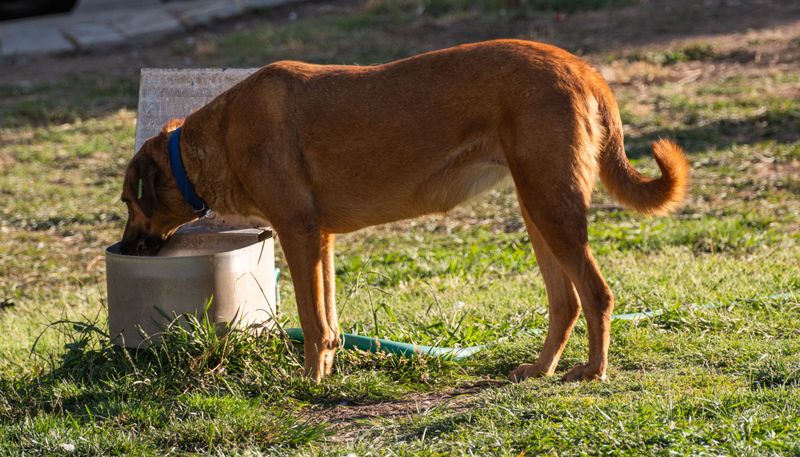 Set Up A Dedicated Fresh-Water Station