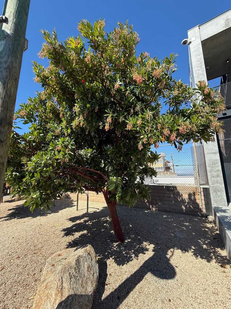 Monterey Bay Coastal Recreation Trail