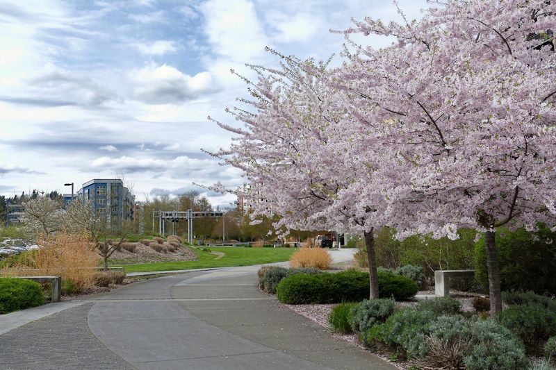 Redmond Central Connector Trail