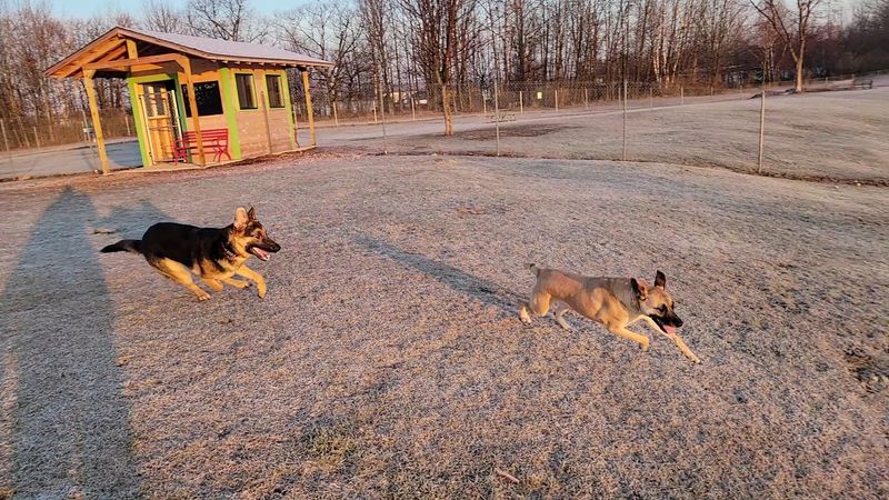 Shiloh Road Bark Park and Sturgeon Bay