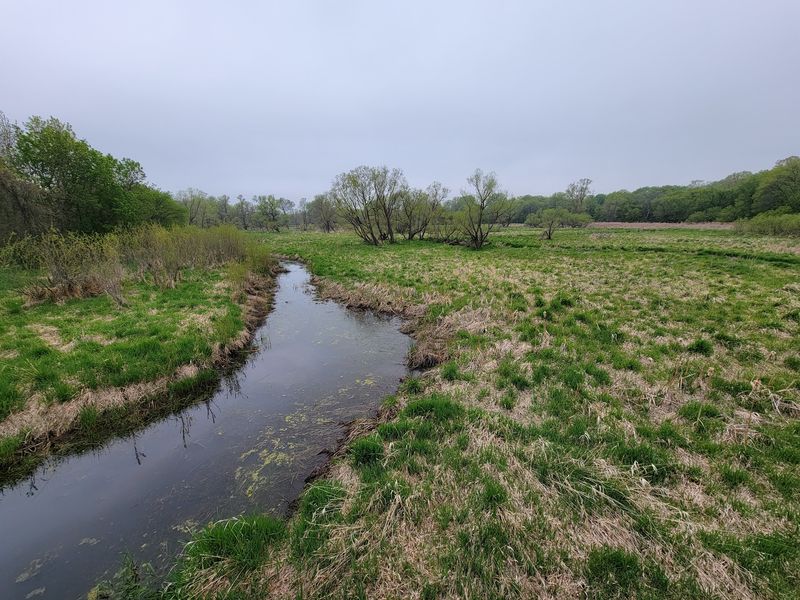 Elm Creek Park Reserve, Maple Grove