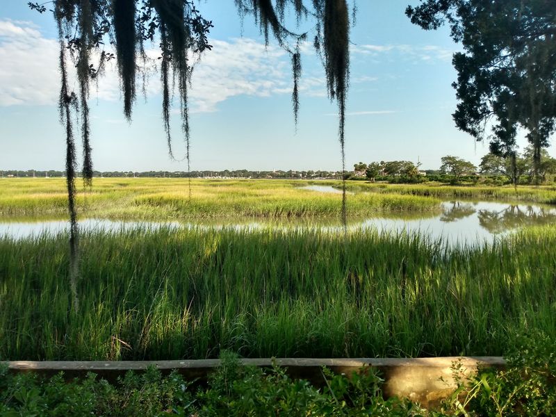 Whitehall Park Boardwalk, Beaufort