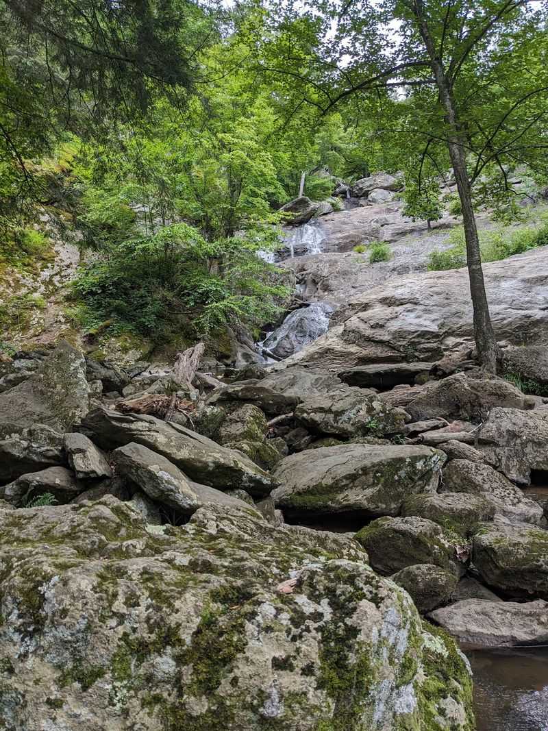 Cunningham Falls Cliff Trail