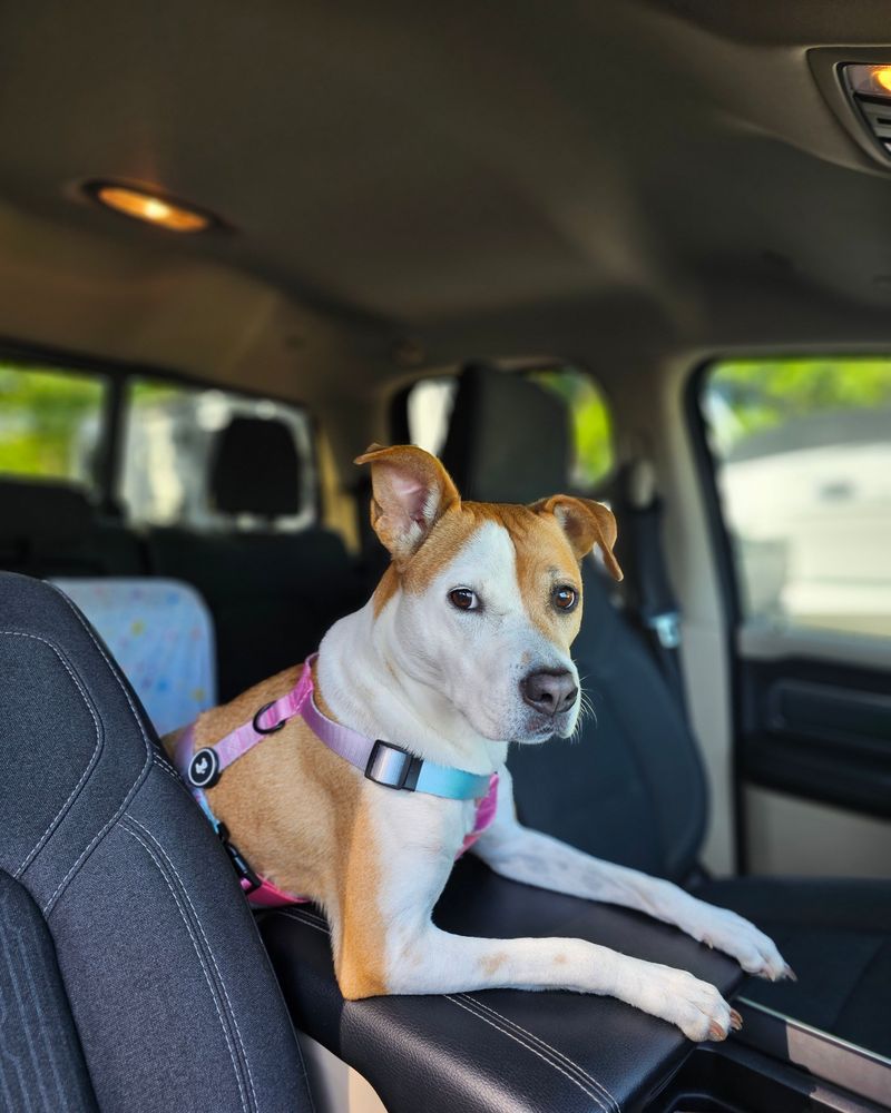 Rural Life Means More Miles in the Car