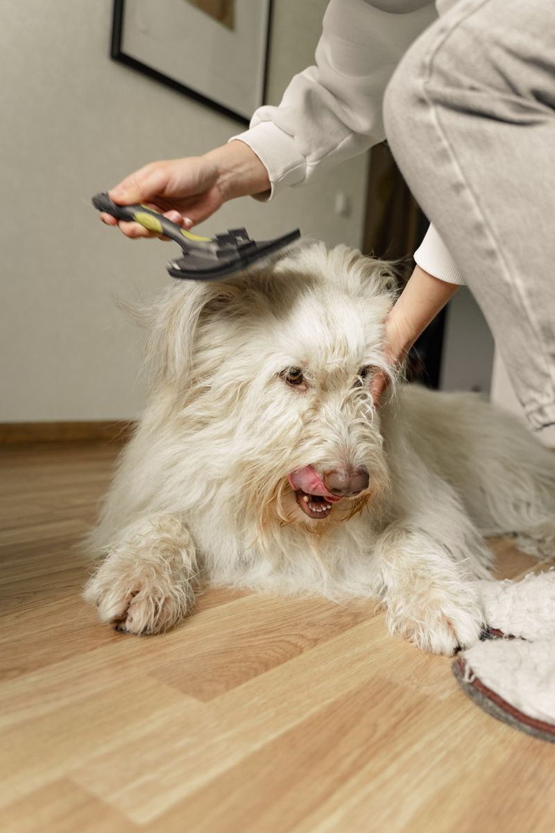 Humidity Can Make Brushing More Difficult