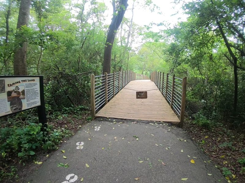Charles Towne Landing Marshside Boardwalk Sections, Charleston