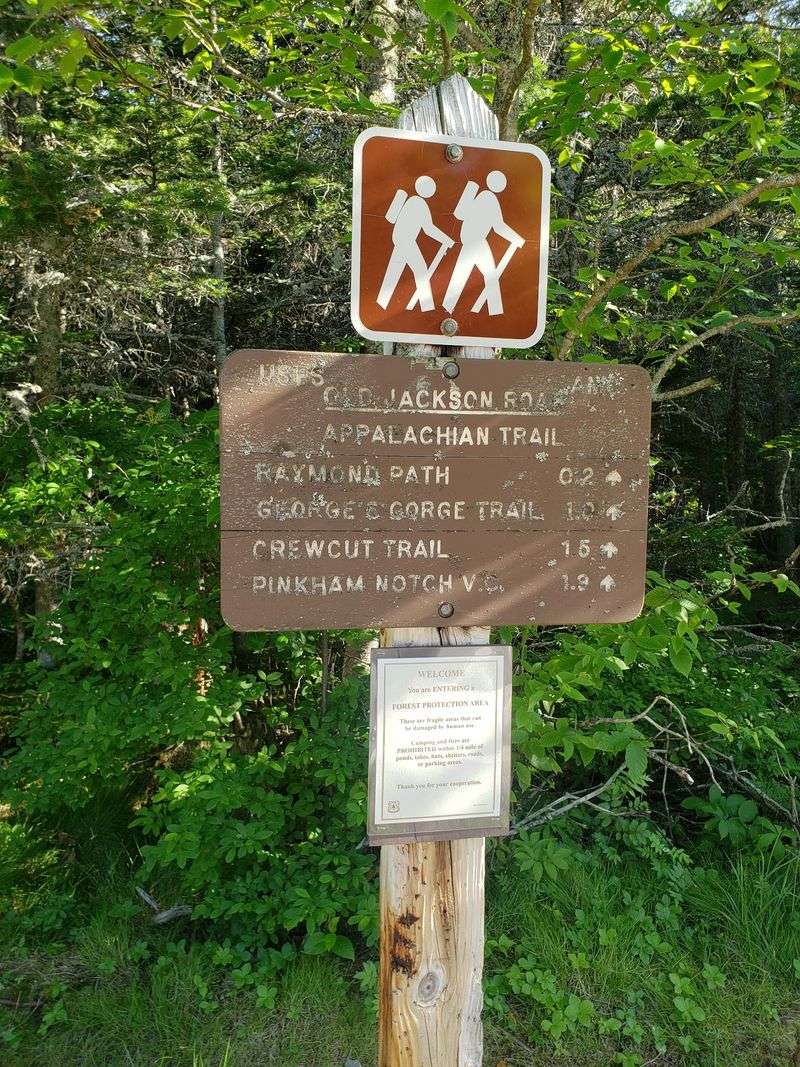Explore a Section of the Appalachian Trail