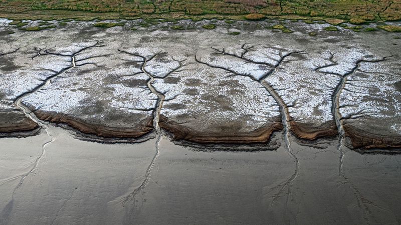 Marsh Banks Can Collapse Underfoot