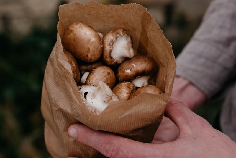 Save a Mushroom Sample If It Is Safe