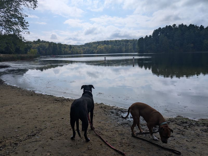 Governor Dodge State Park Campgrounds, Dodgeville