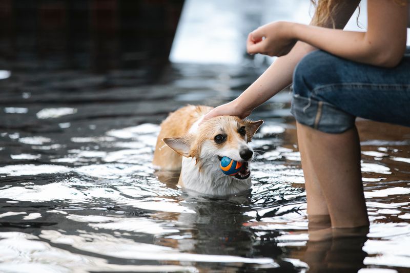 Look for Signs of Water Trouble
