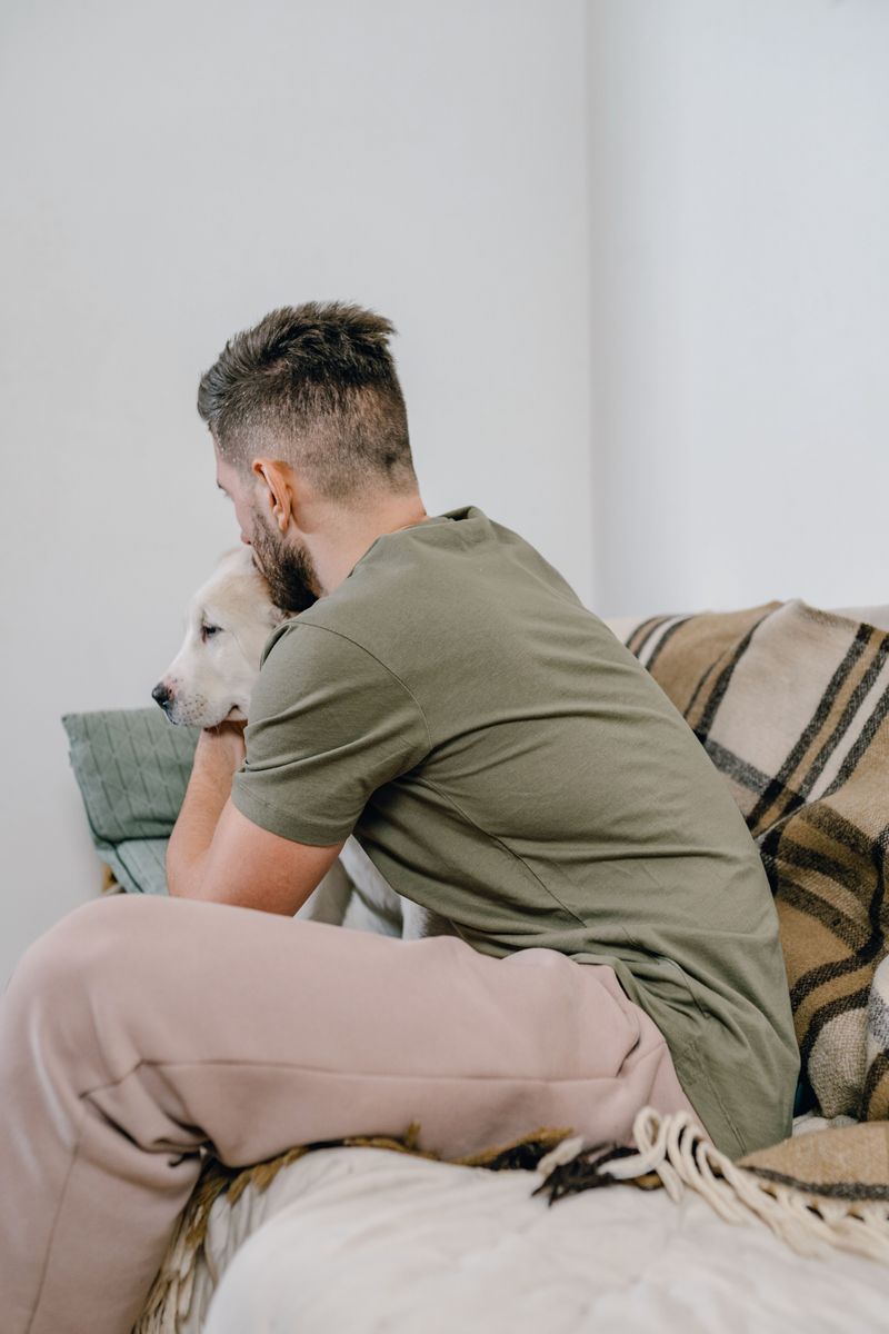 Expect Your Dog to Behave Differently After a Storm
