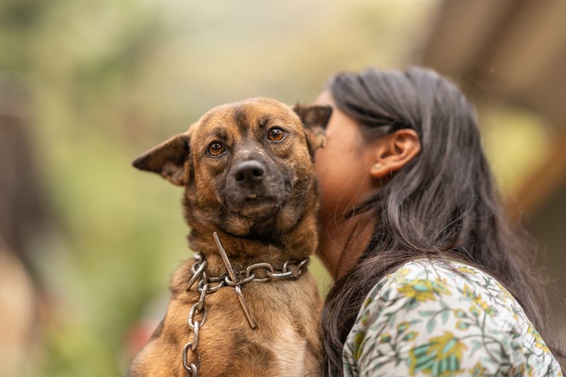 Accurate ID Gives A Displaced Dog A Real Advantage