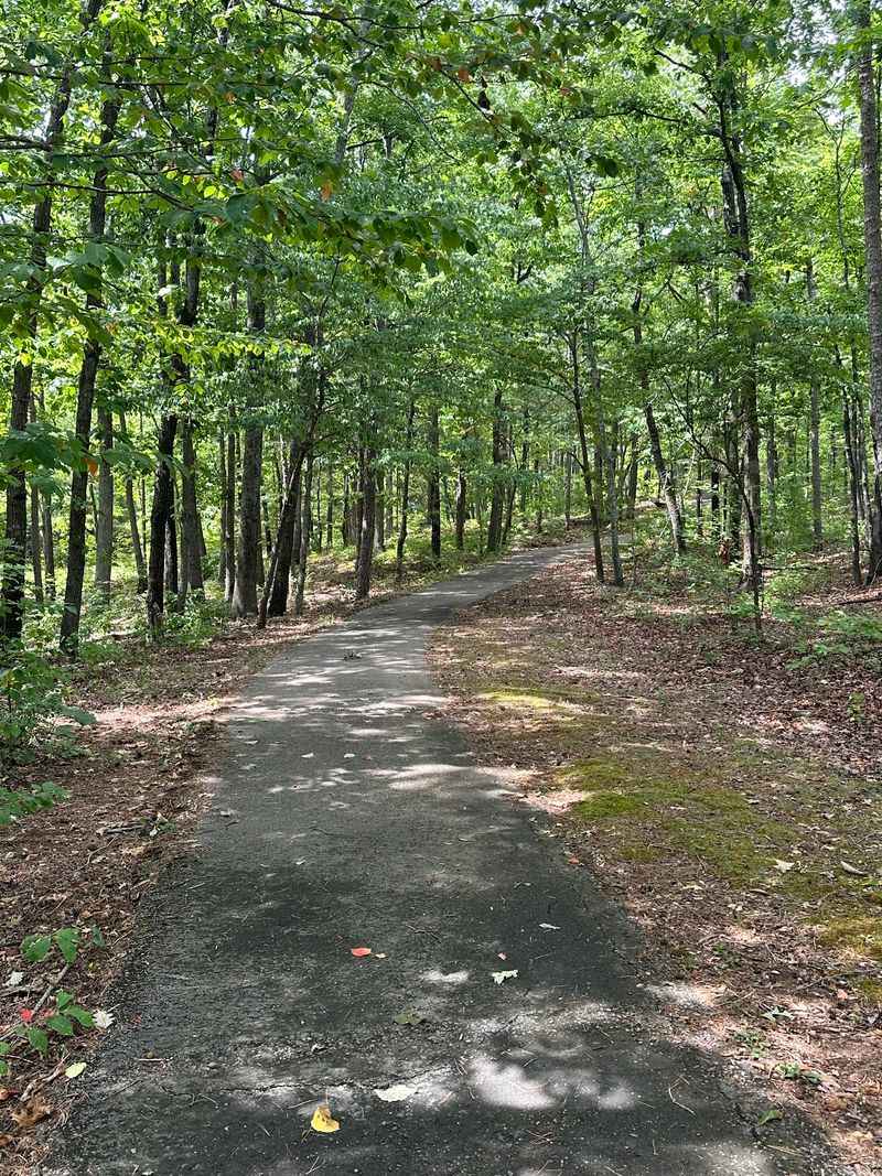 Beech Springs Trail, Tupelo