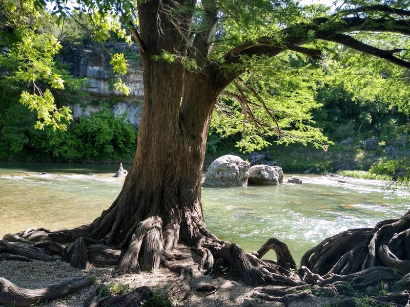 Guadalupe River State Park, Spring Branch