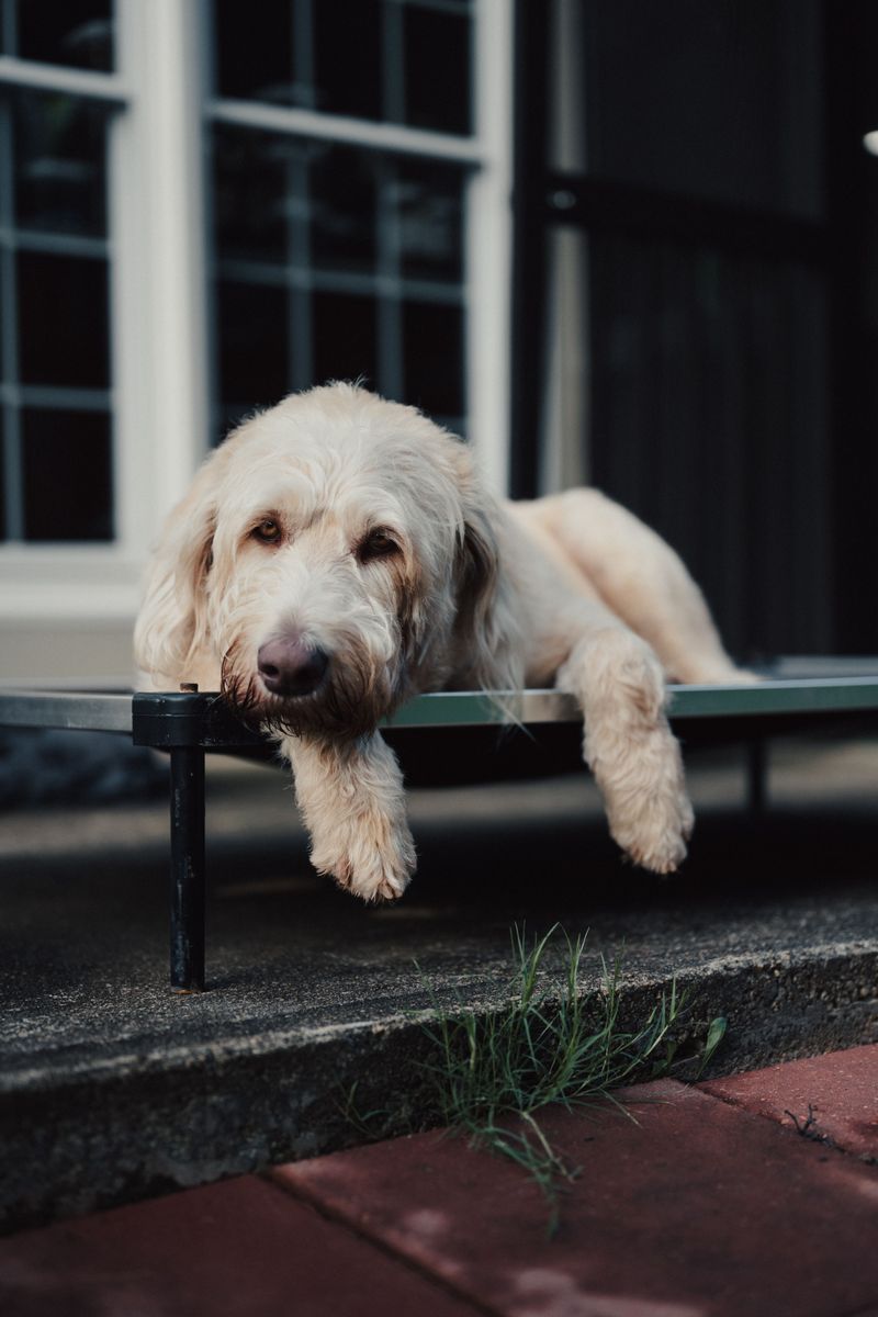 The Porch Can Become a Favorite Resting Spot