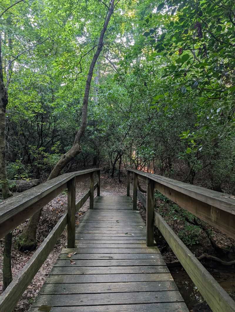 F.D. Roosevelt State Park, Pine Mountain