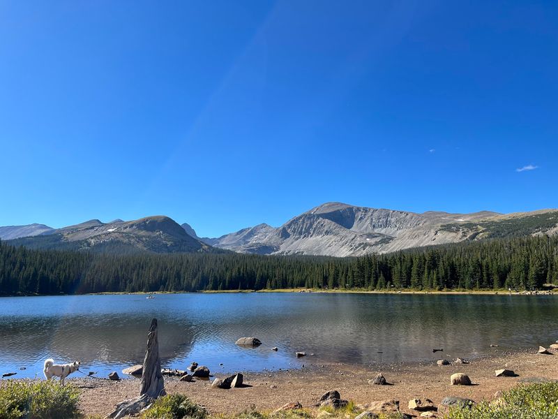 Arickaree Picnic Site, Brainard Lake Recreation Area