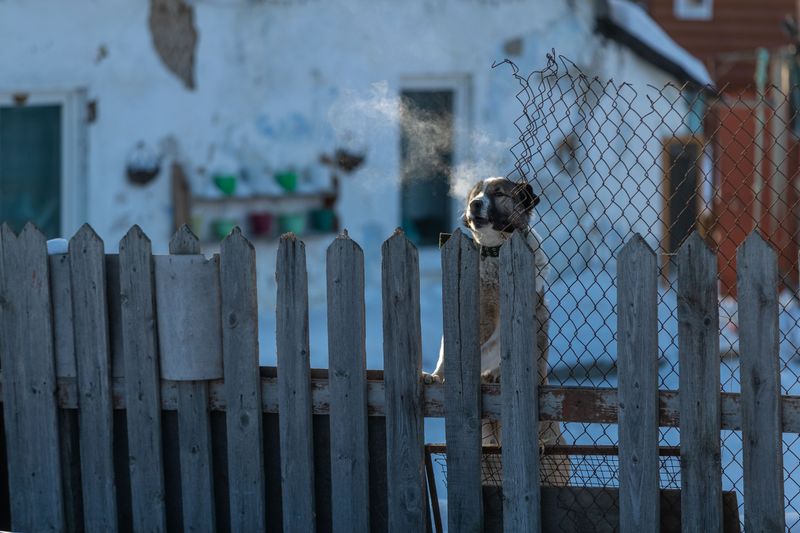 Broken Fencing and New Escape Gaps