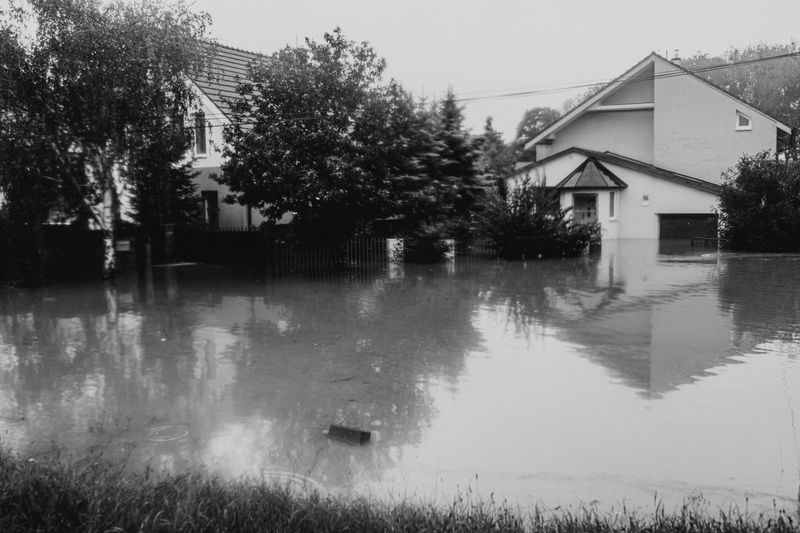 Standing Water Mixed With Storm Debris