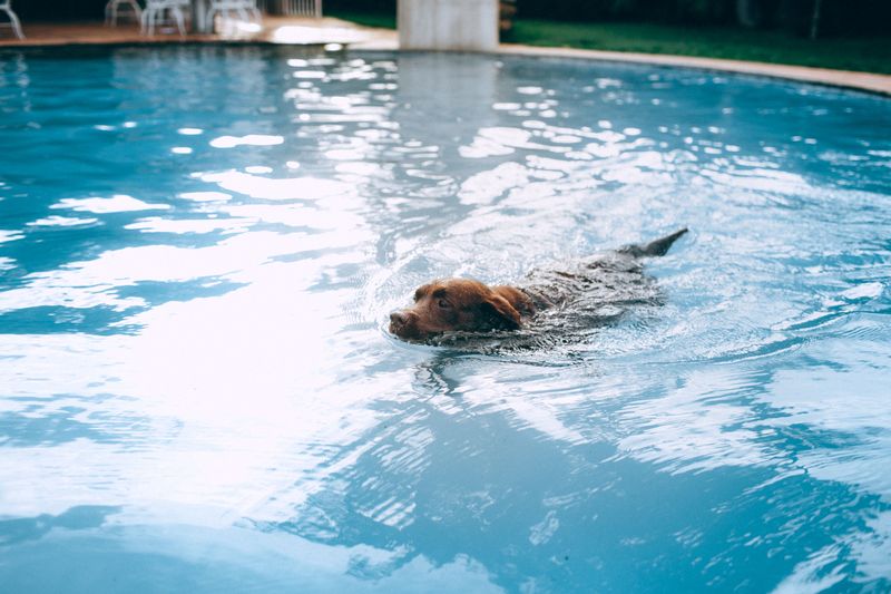Swimming Past the Point of Tired