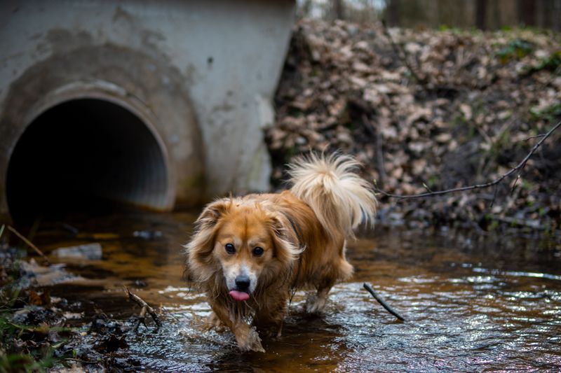 Culverts Can Hide Fast-Moving Water