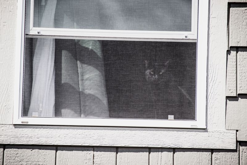 Try Window Film or Solar Screens