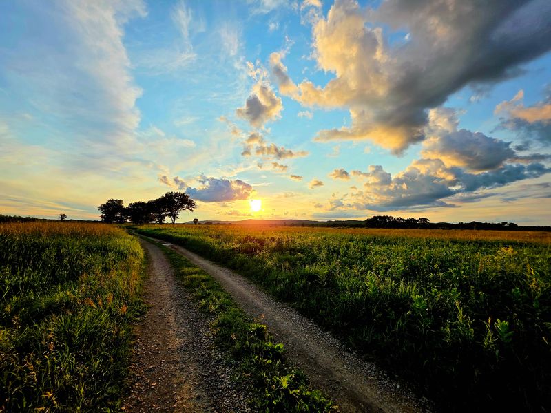 Avoca Prairie and Savanna