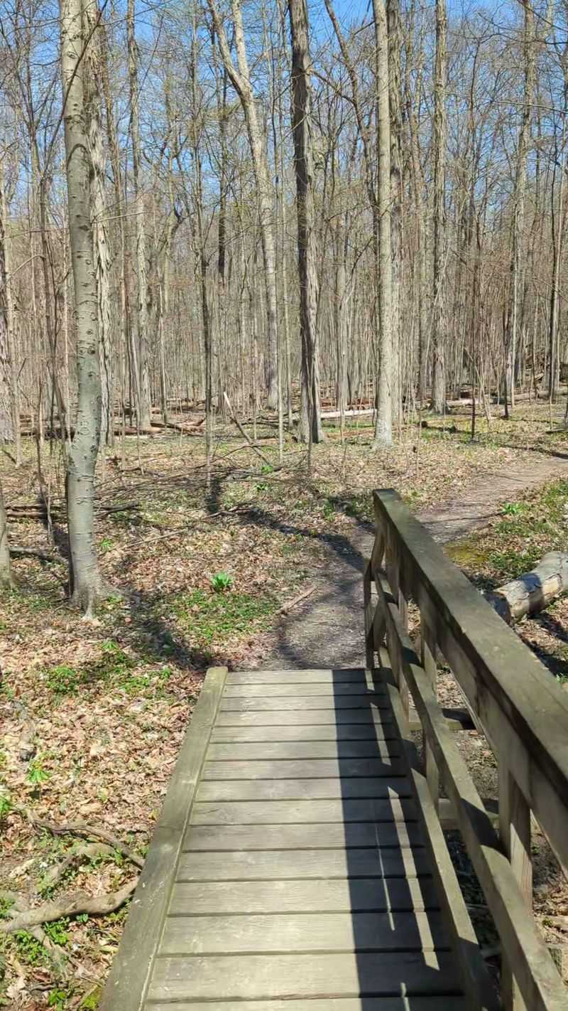 Findley State Park Campground