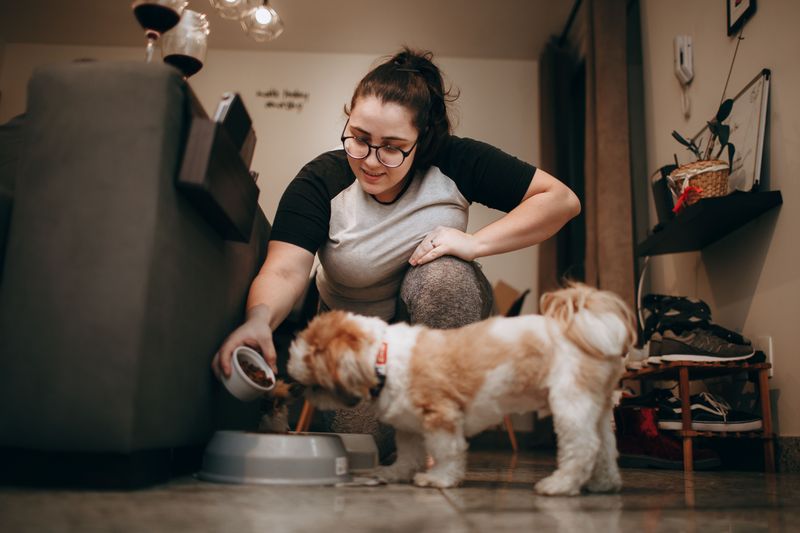 Convenient Feeding and Medication Options