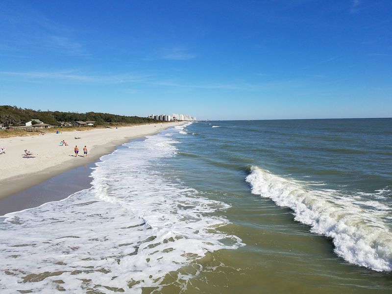 Myrtle Beach State Park, Myrtle Beach