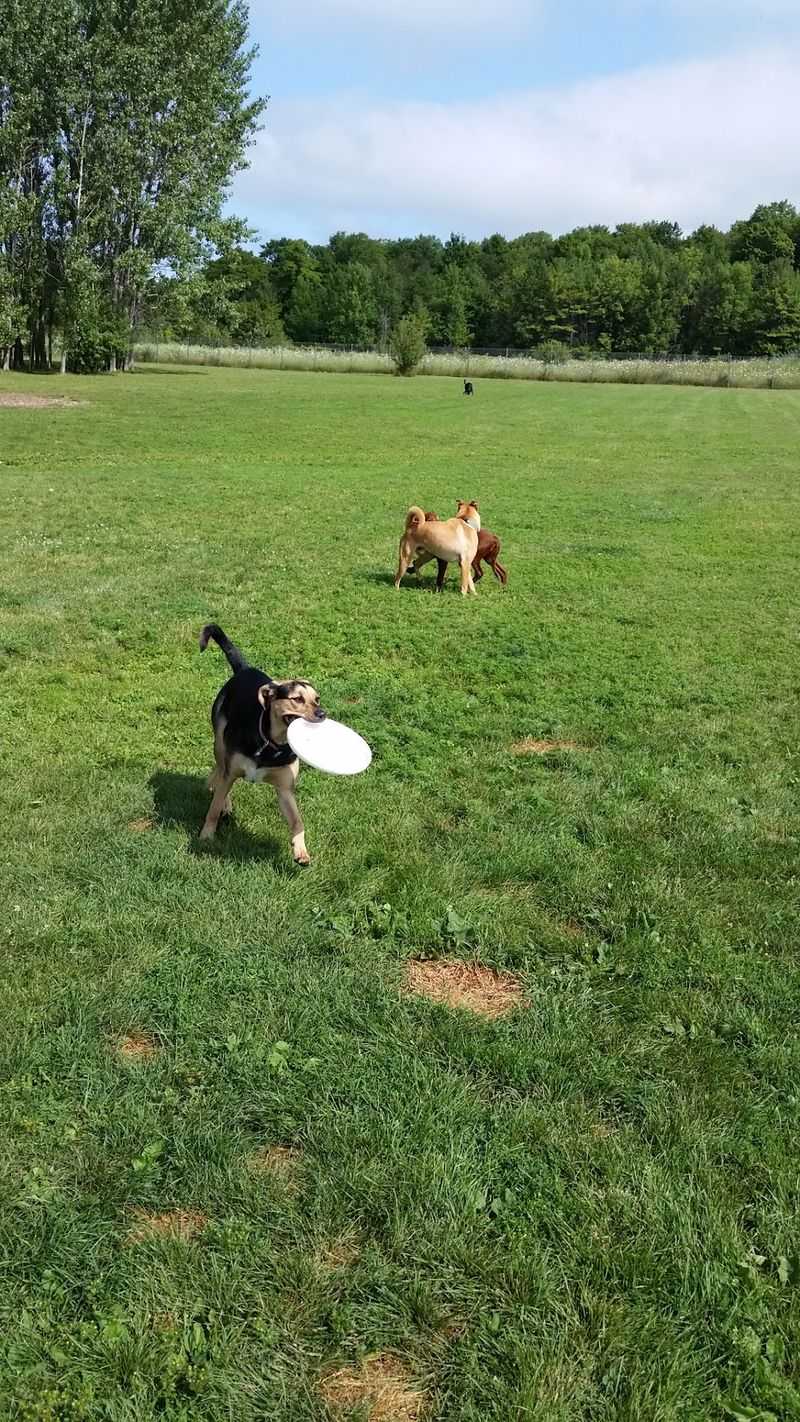 Sister Bay and Sister Bay Dog Park