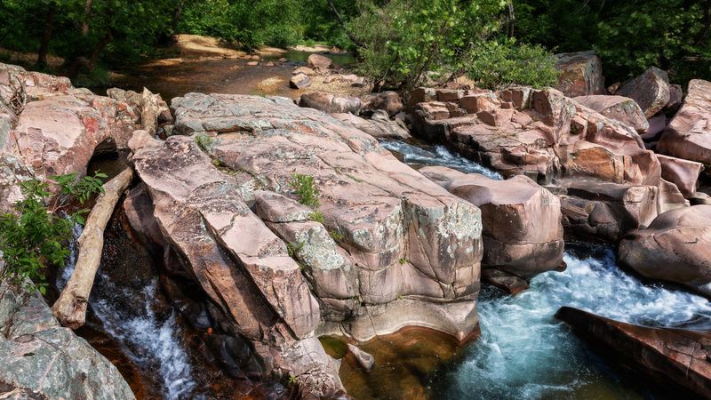 Johnson's Shut-Ins and Its Dog Rules