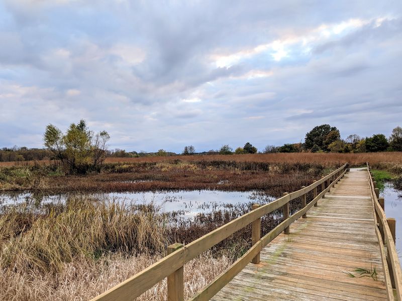 Loblolly Marsh Nature Preserve: A Little Boardwalk, Big Views