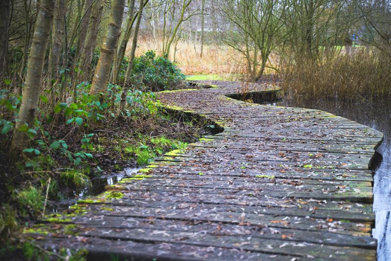 Wooden Walkways May Need Extra Caution