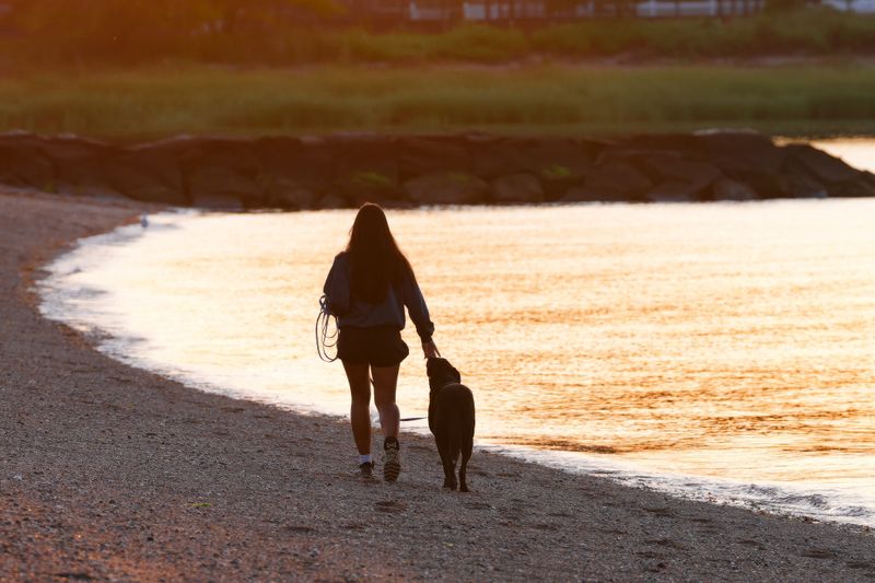 Sandy Hook Bayside: Open All Year