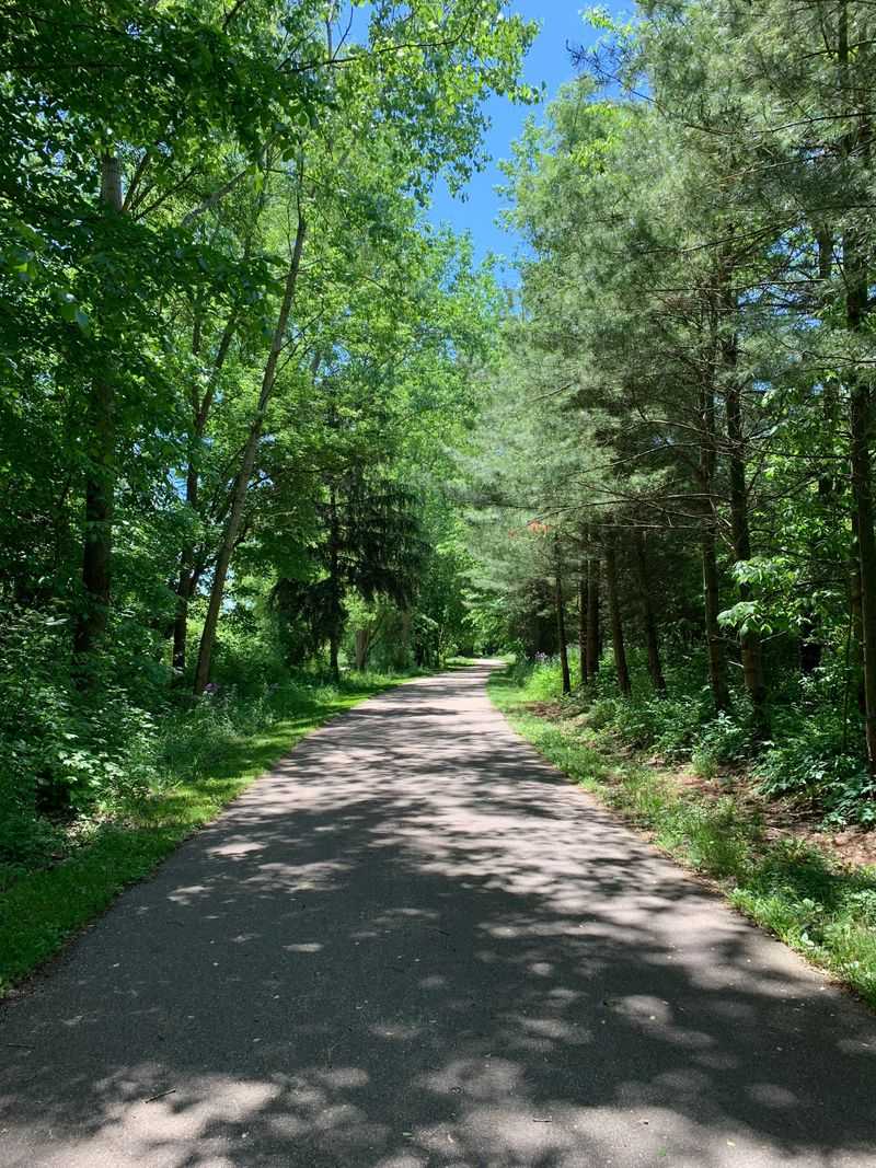 Walk the Legacy Trail With Your Dog