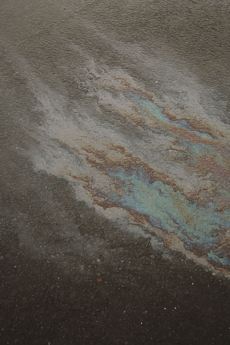 Stormwater Polluted by Road Runoff