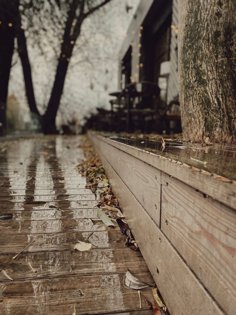 Slippery Decks And Steps