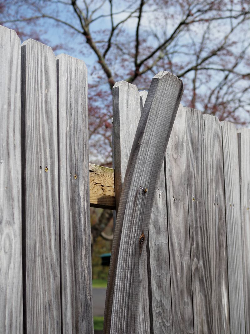 Broken Fencing With Sharp Edges