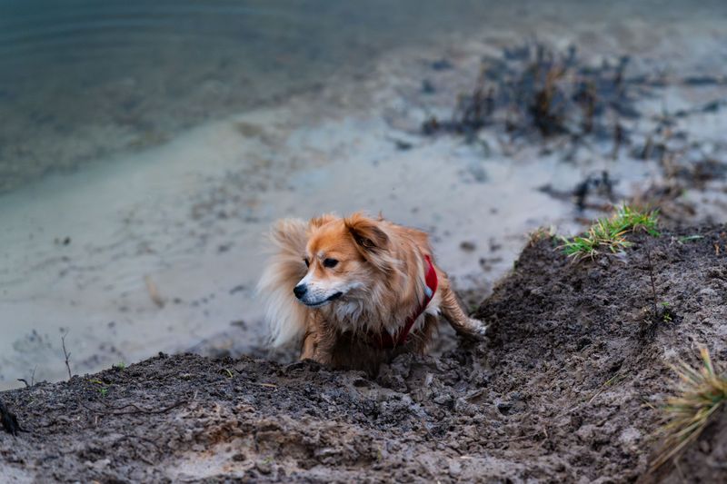 Steep Banks Can Make Getting Out Difficult