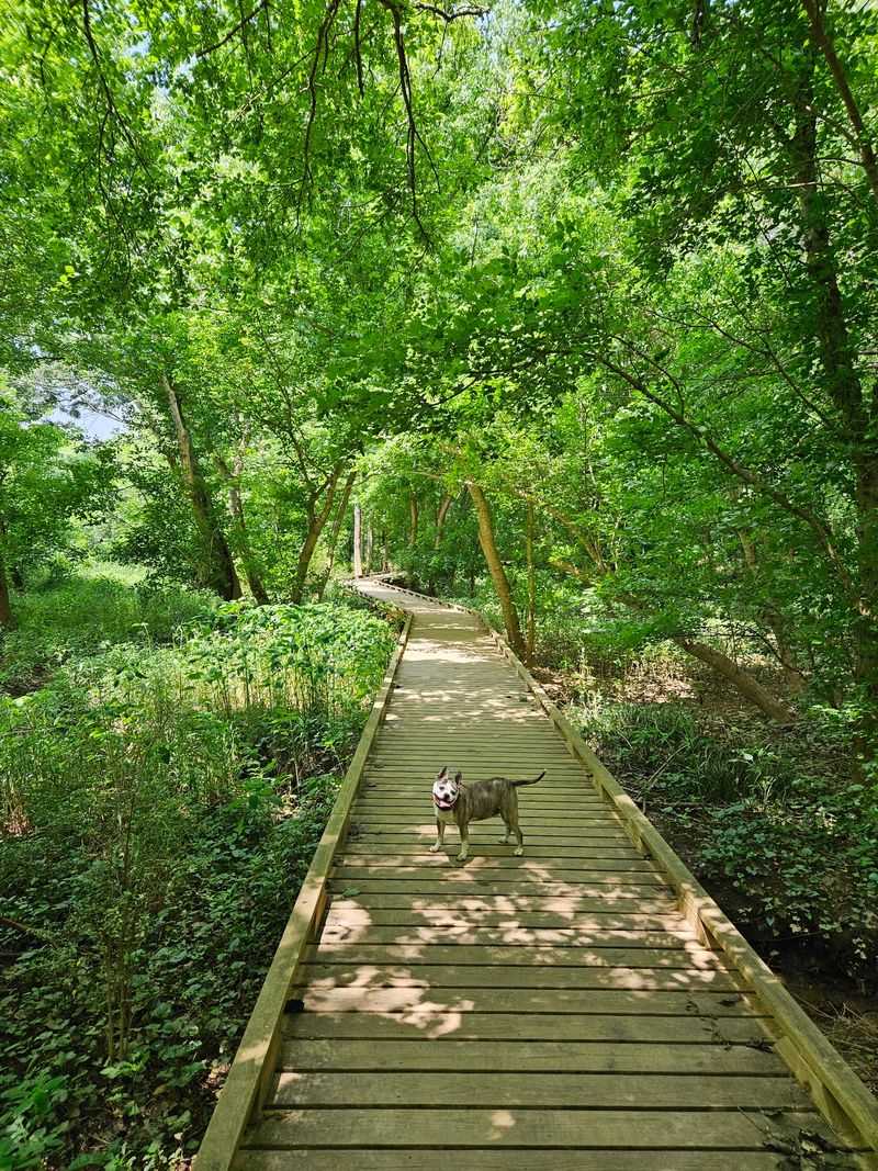 Cleveland Park Reedy River Trail, Greenville