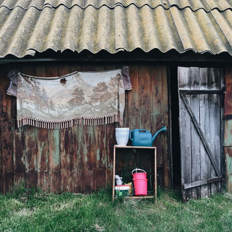 Barns And Outbuildings Need Dog Rules