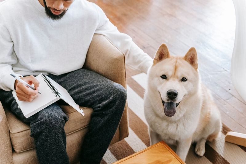 Behavioral Notes on Fears, Triggers, and Handling