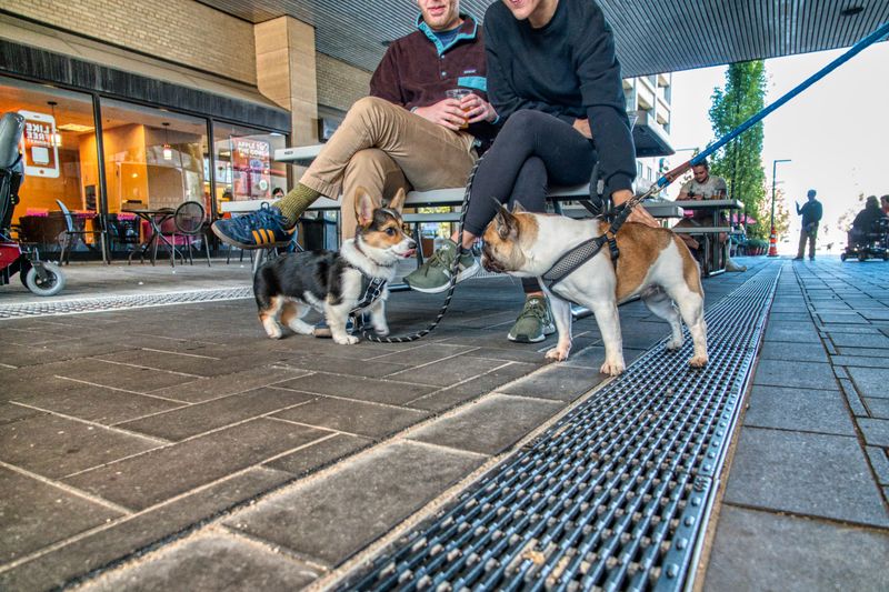 Shared Outdoor Spaces Can Create New Challenges
