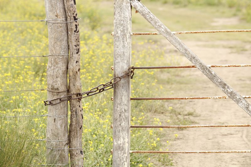 Gates Need To Be Part Of The Dog Budget