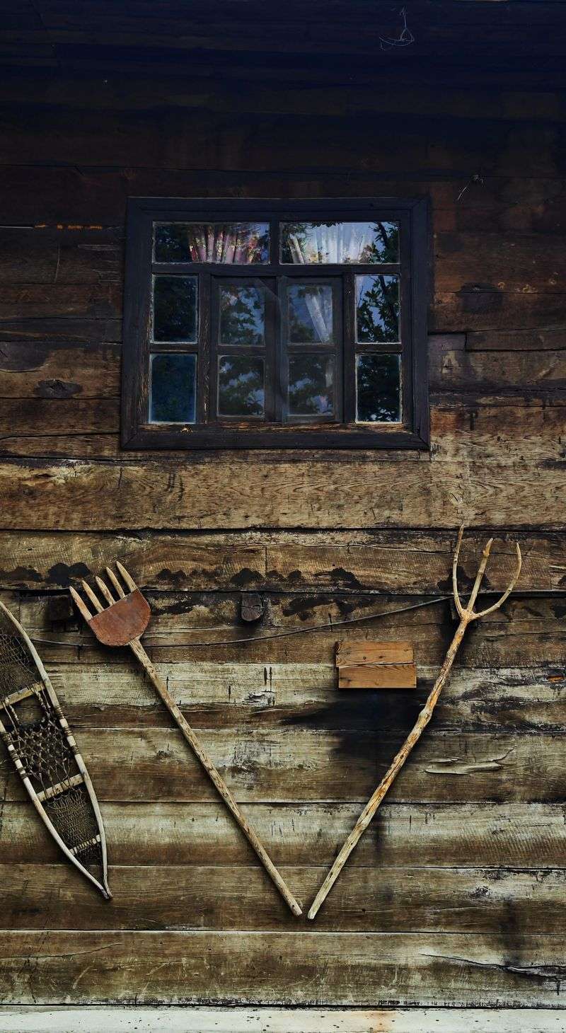 Rakes and Shears Leaning Against the Wall