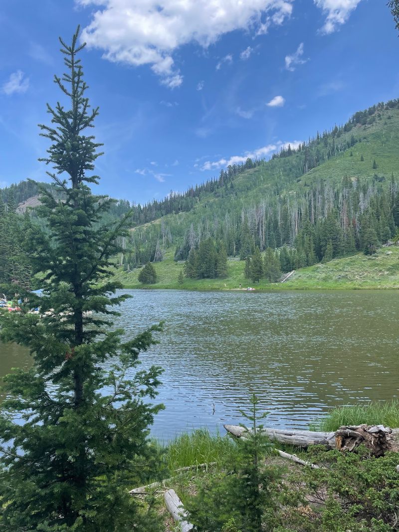 Hahns Peak Lake Picnic Site, Clark