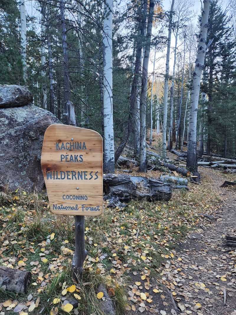 Kachina Trail